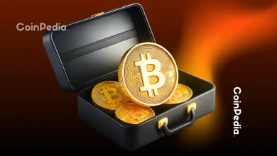 德国另类选择党计划建立国家比特币储备